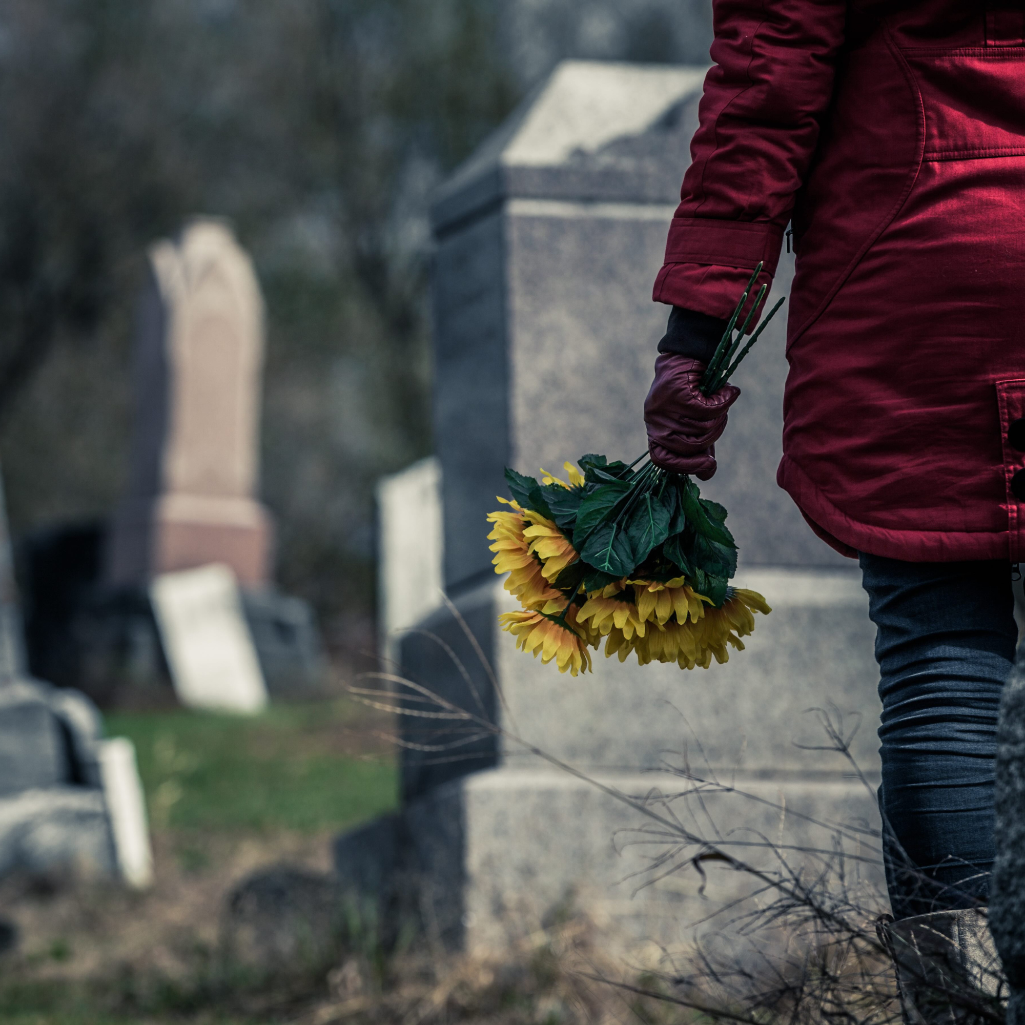 The Birth that Ended Death