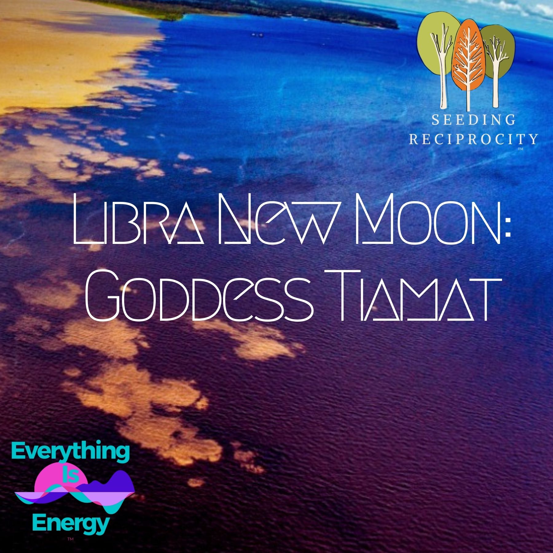 Everything Is Energy