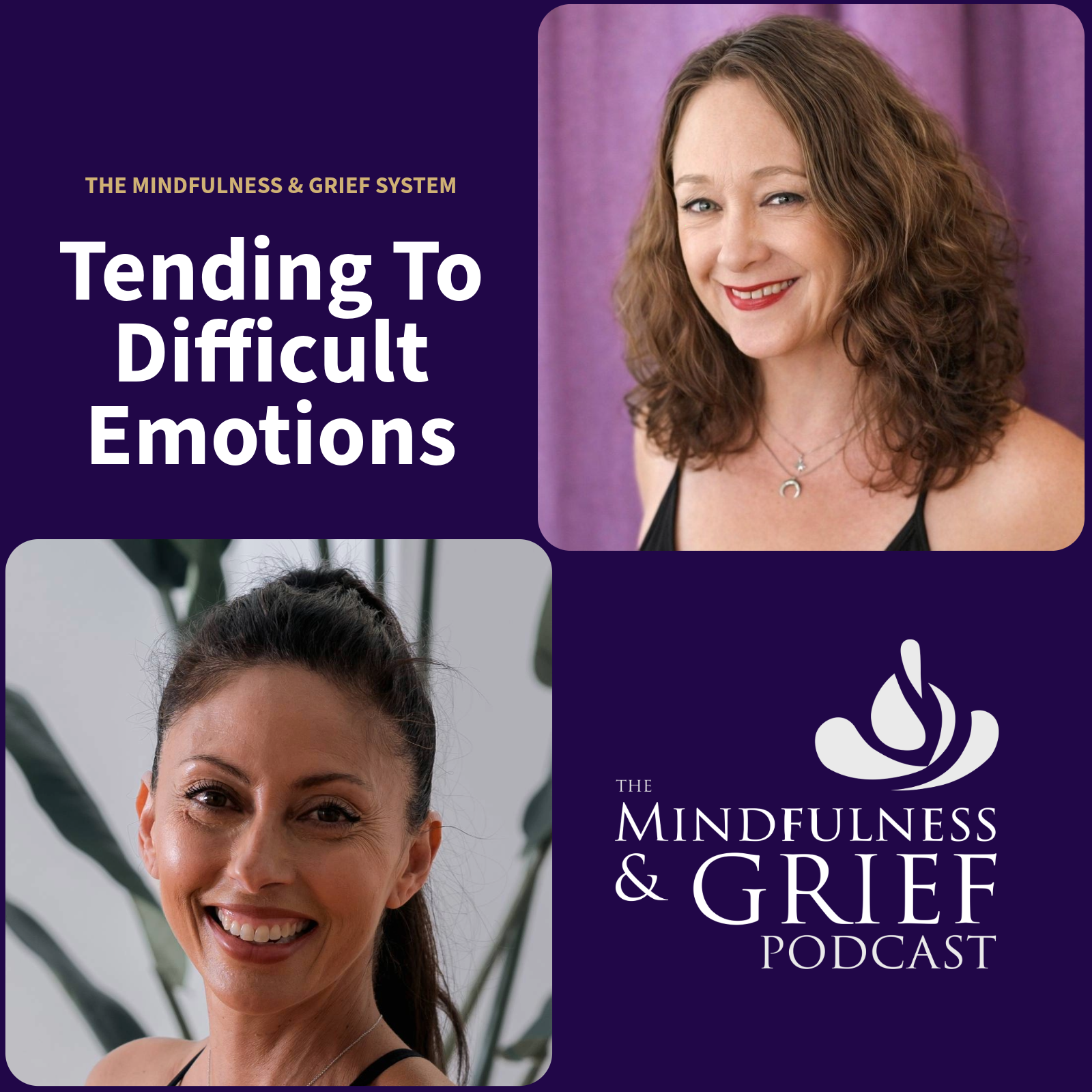 Tending to Difficult Emotions: Skillful Courage (Step 4)