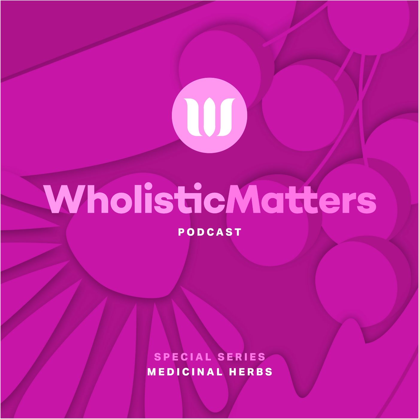 WholisticMatters Podcast powered by Standard Process