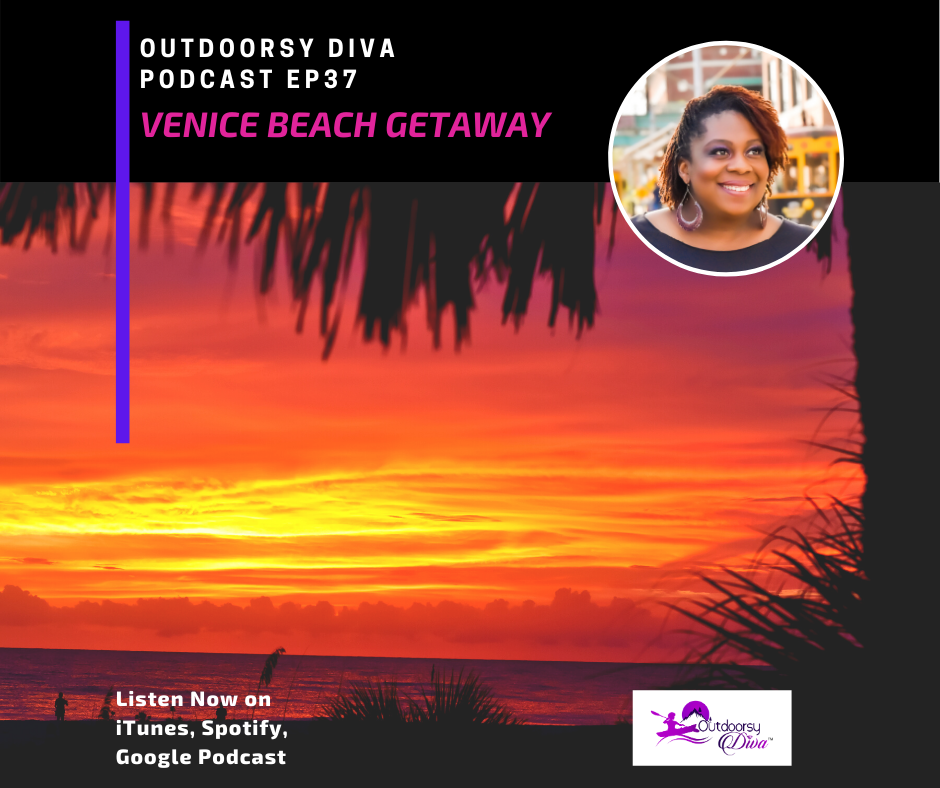 Venice Beach Getaway - EP 37