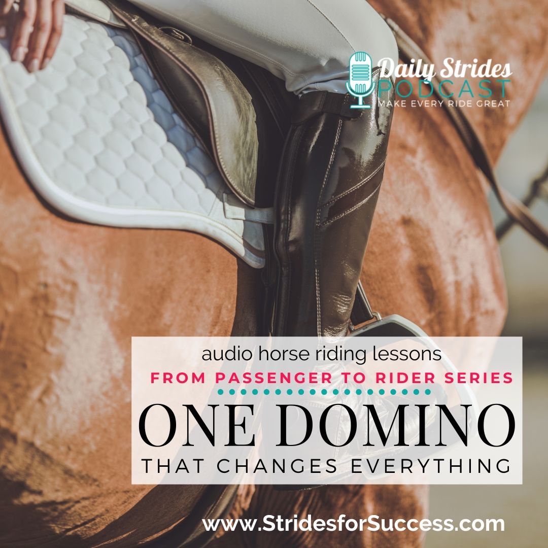 Finding the 1 Domino in Your Riding that Changes Everything