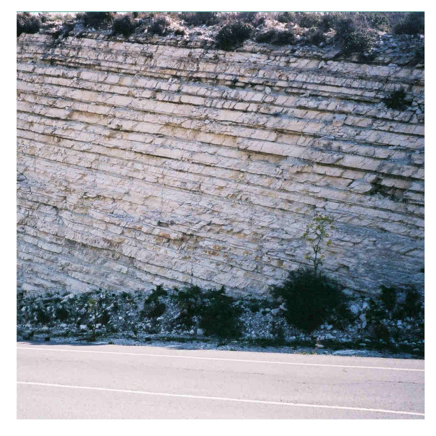 A Rabbit in the Precambrian