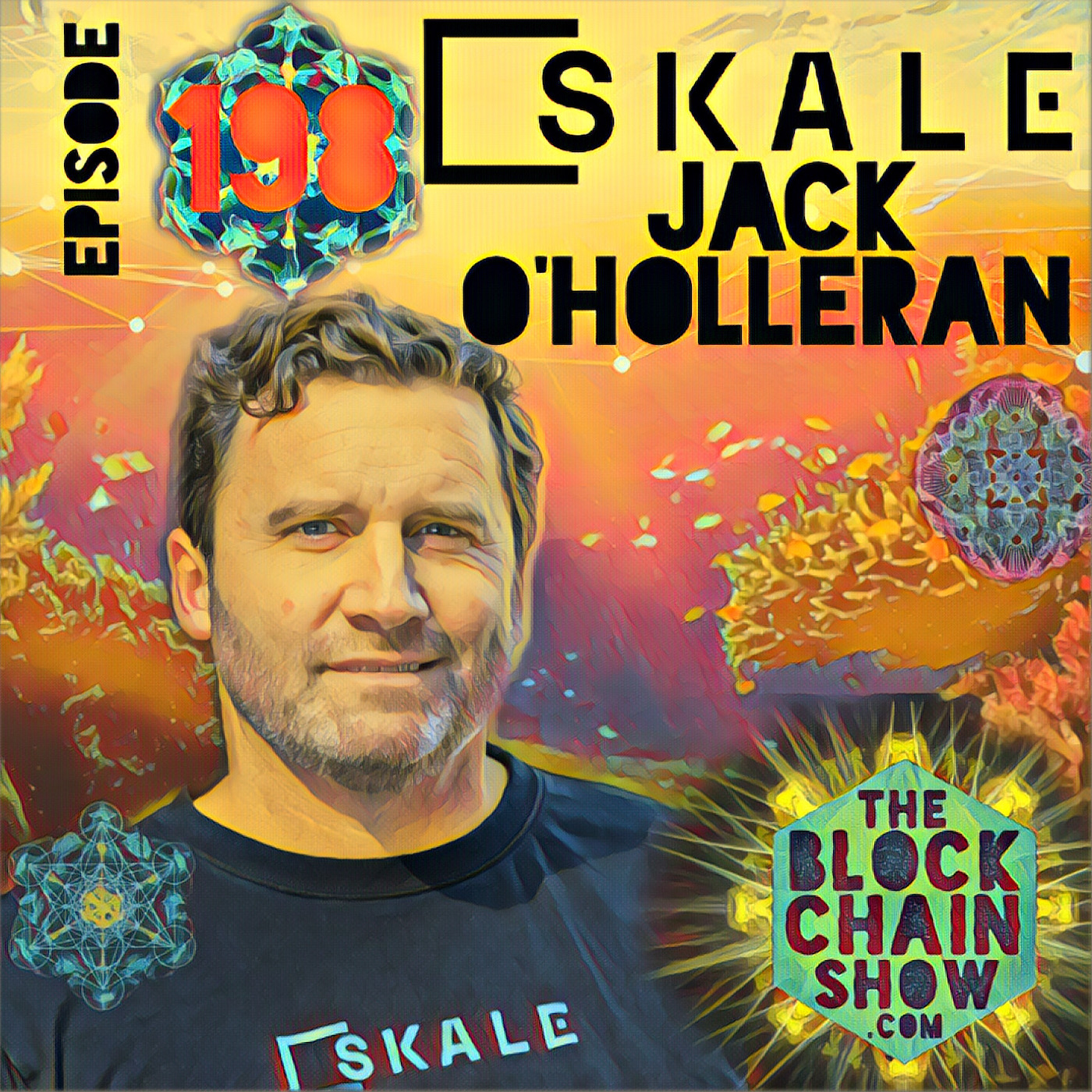The Blockchain Show