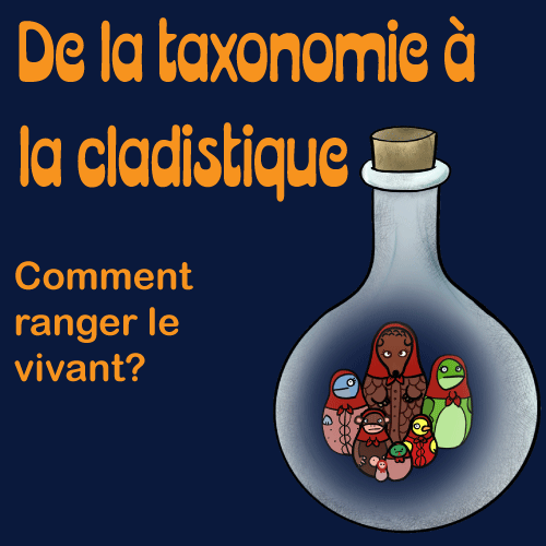 De la taxonomie à la cladistique, ou comment ranger le vivant De la taxonomie à la cladistique, ou comment ranger le vivant