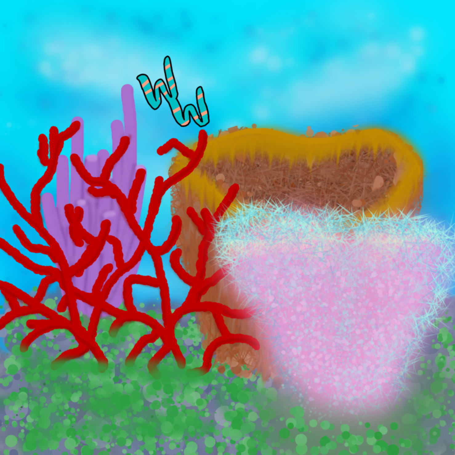 Sea Sponge