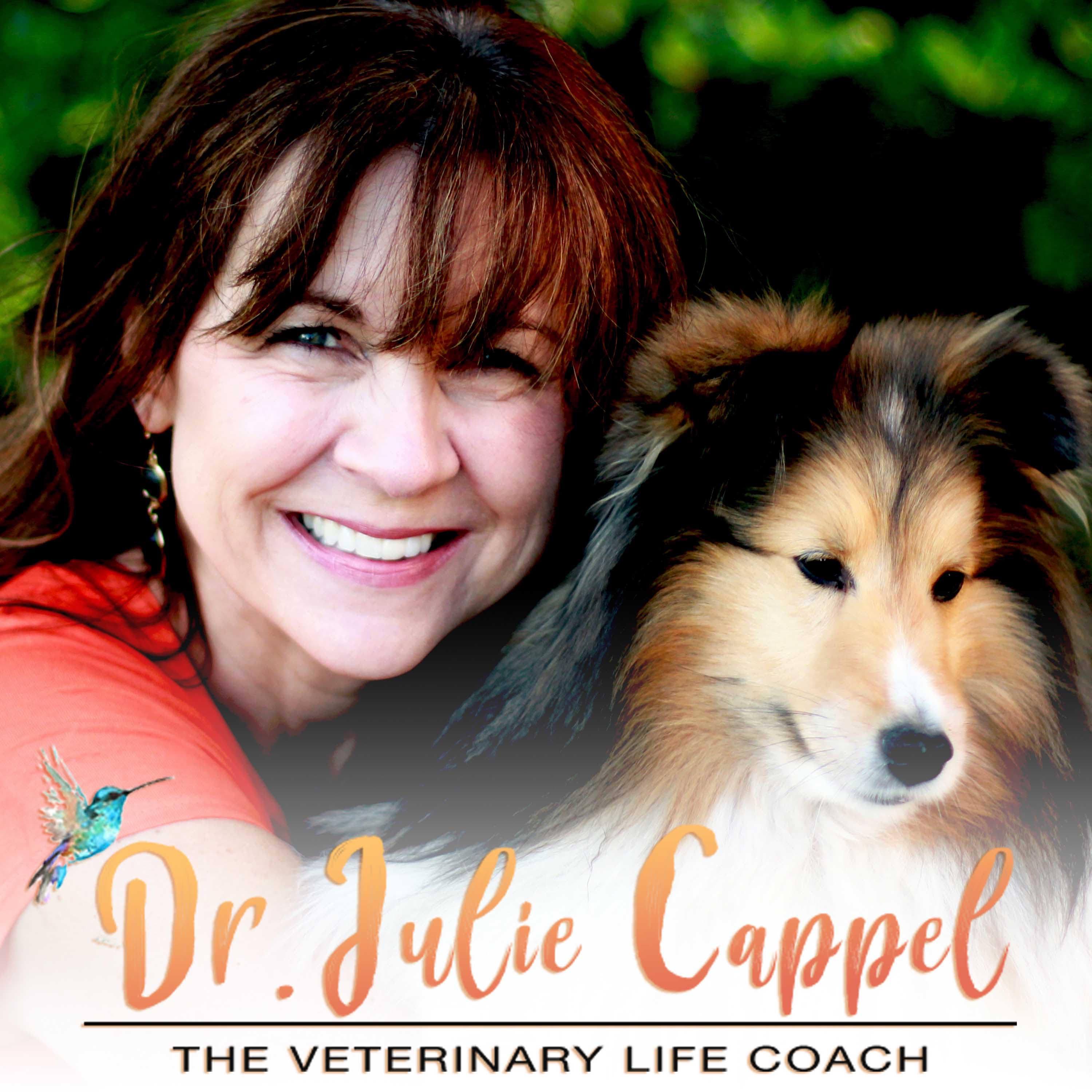 The Veterinary Life Coach® Podcast with Dr. Julie Cappel