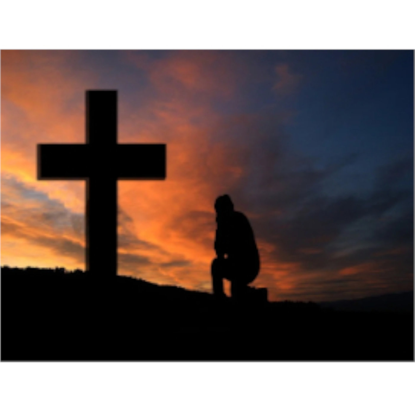 Did God Create by Evolution?