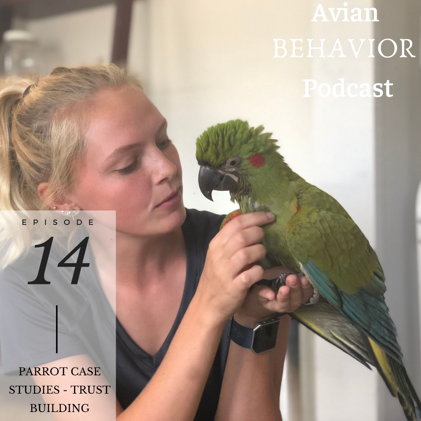 The Avian Behavior Podcast