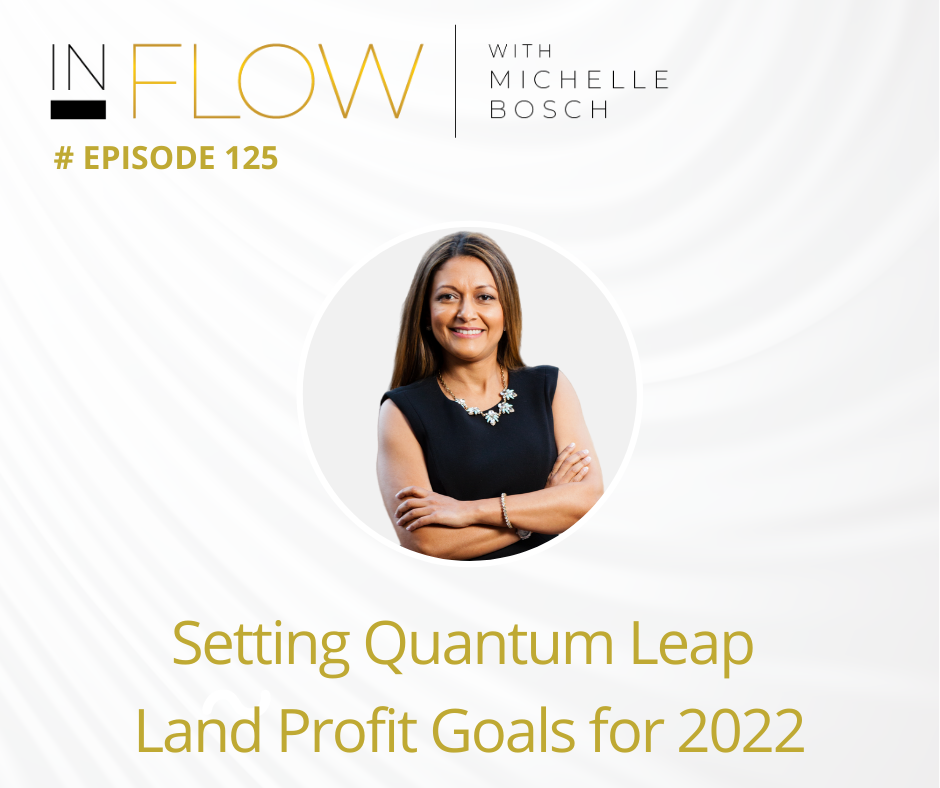 Setting Quantum Leap Land Profit Goals for 2022