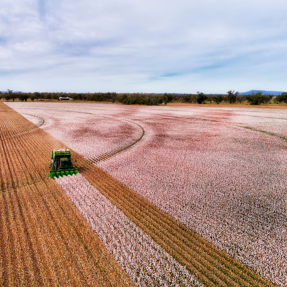 RaboResearch Agri Commodities