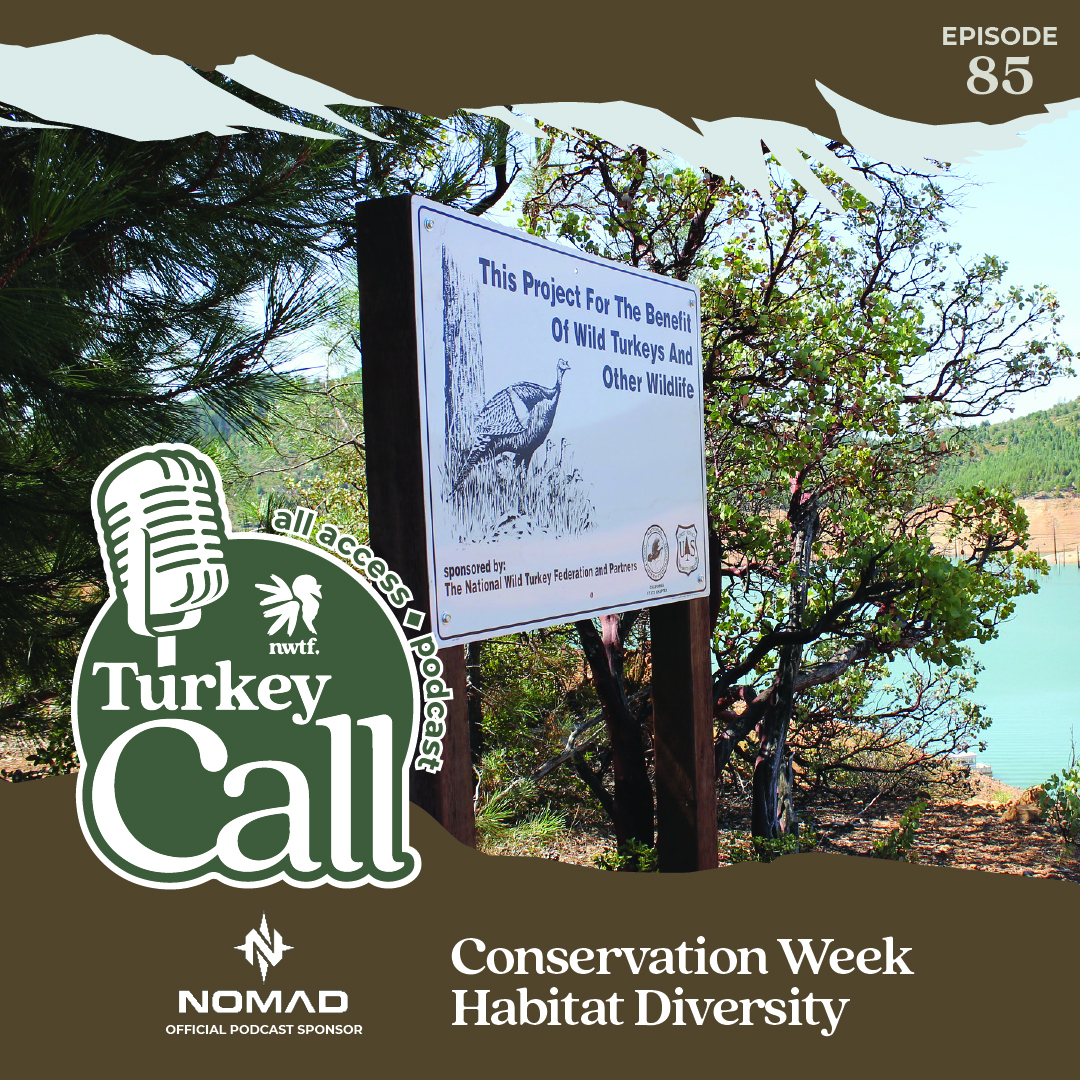 Turkey Call All Access