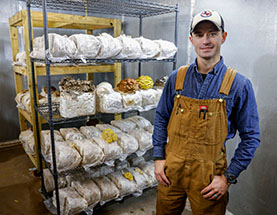 Digging Into Mushroom Cultivation With An Artisanal Fungi Farmer