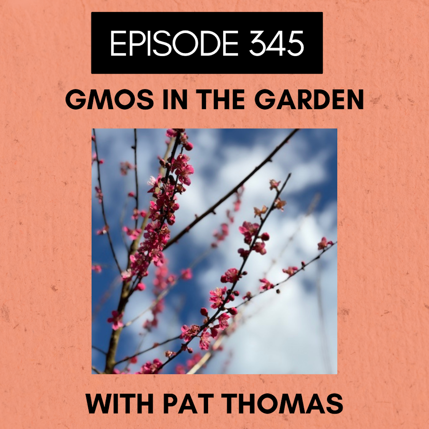Episode 345: GMOs in the Garden