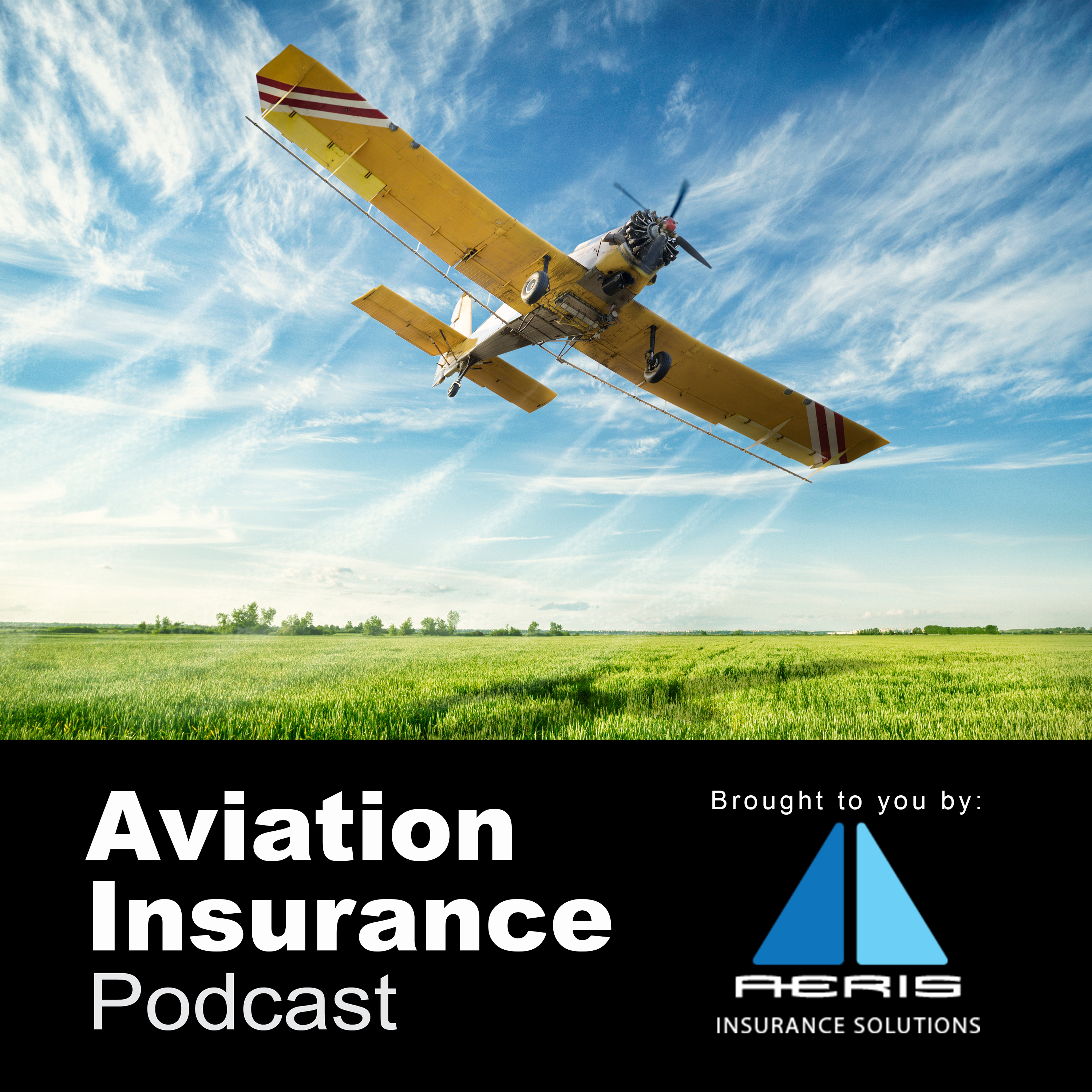 Episode 94: Inside Aerial Applications - Insights from the NAAA Ag Aviation Expo 2024