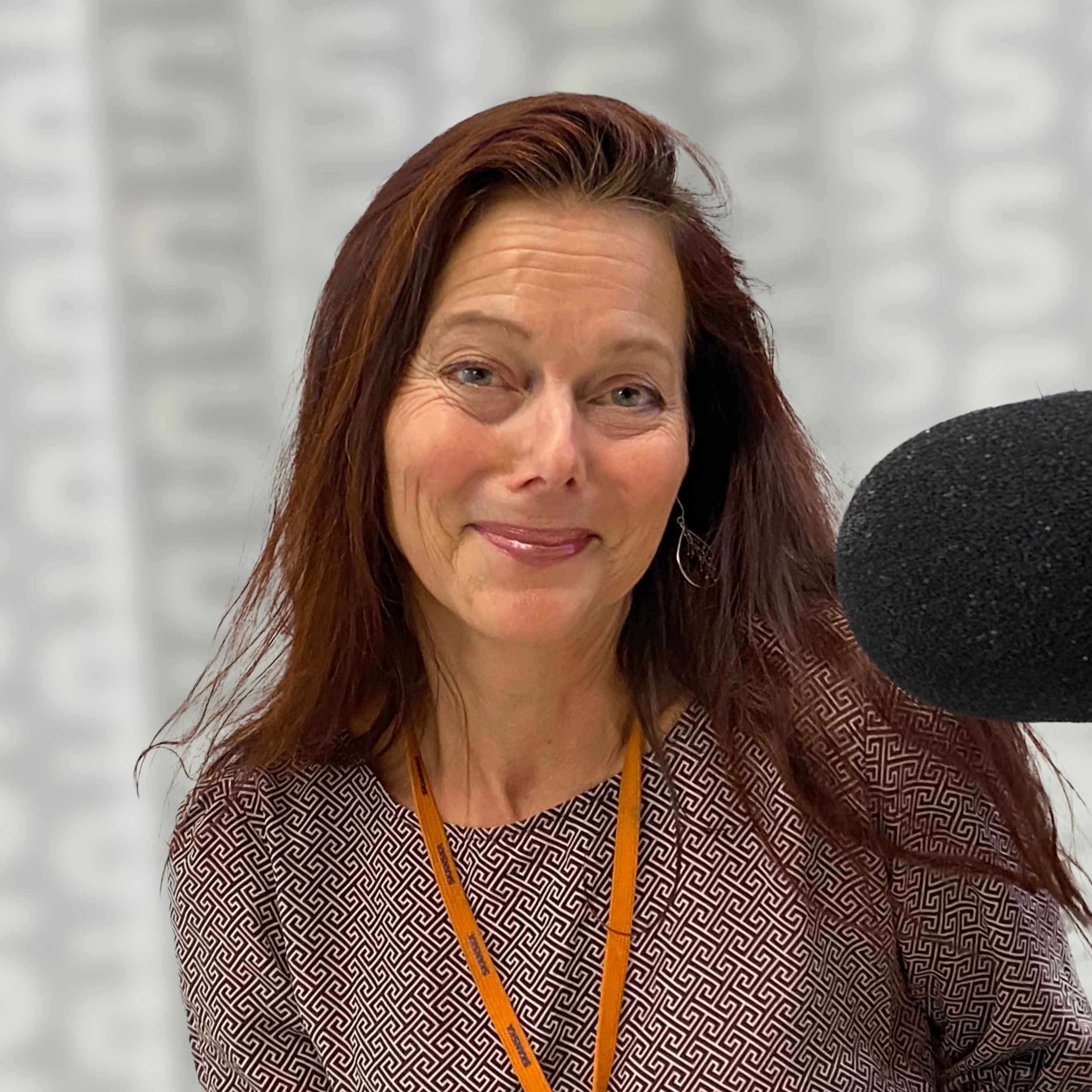 Geosnack med Svenska Geotekniska Föreningen