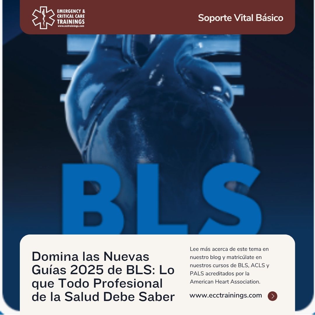 Guías 2025 de BLS en Adultos