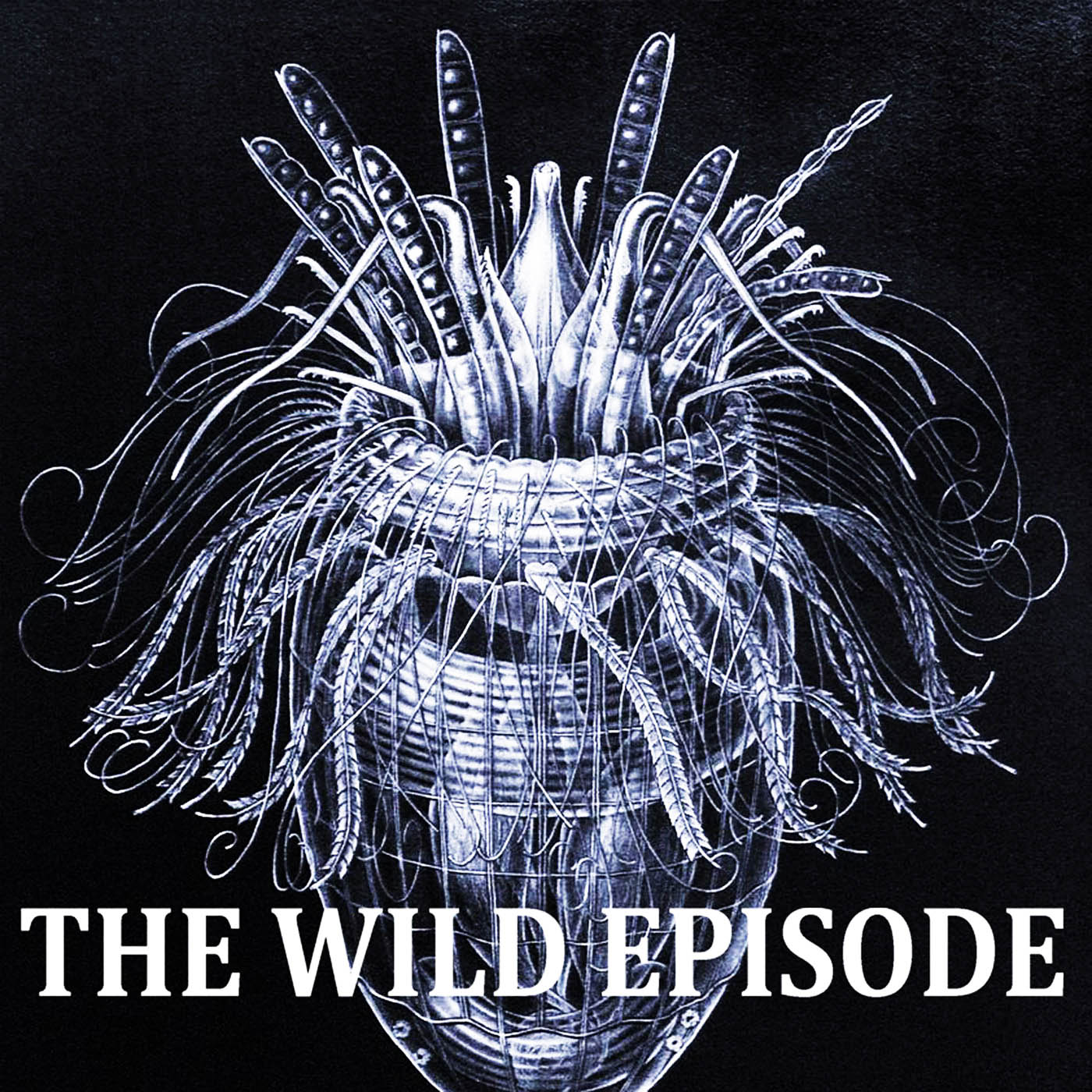 The Wild Episode