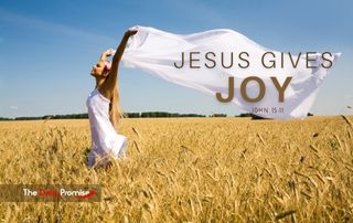 The Daily Promise