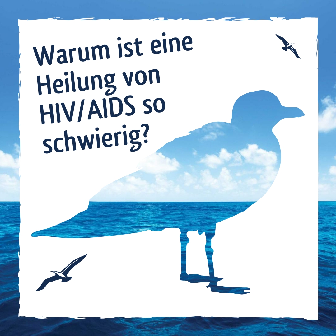 Wunderwelt Körper