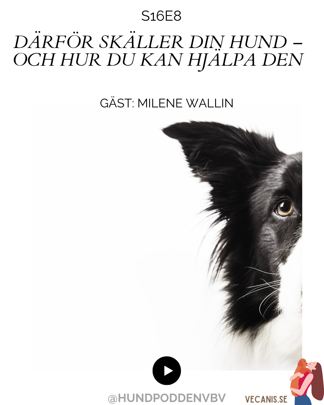 Därför skäller din hund – och hur du kan hjälpa den