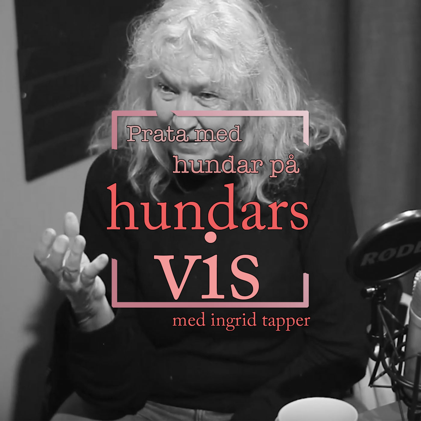 Hundpodden Vår Bästa Vän
