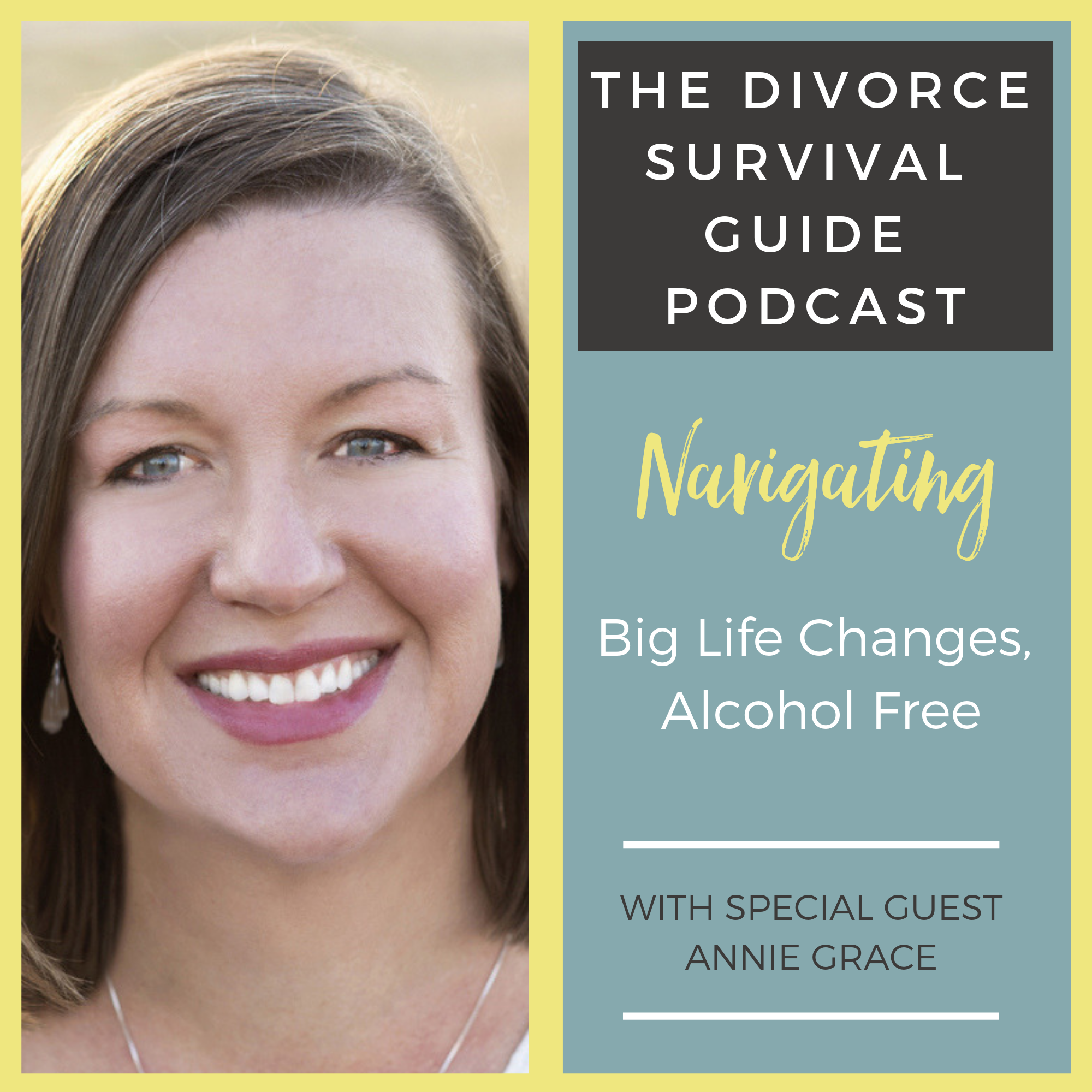 The Divorce Survival Guide Podcast