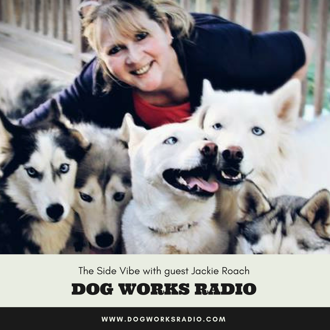 Dog Works Radio