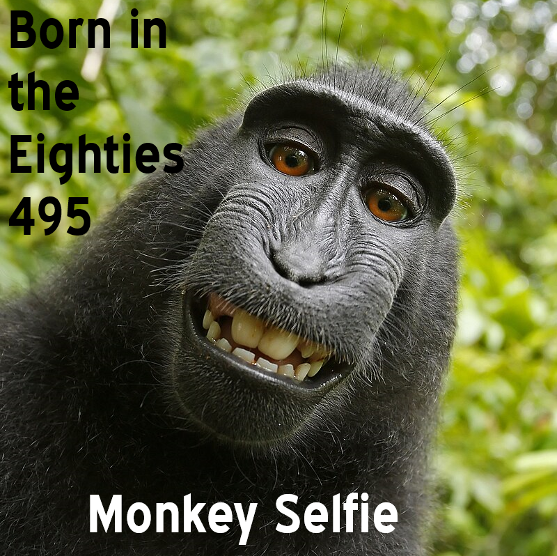 Born in the Eighties 495: Monkey Selfie