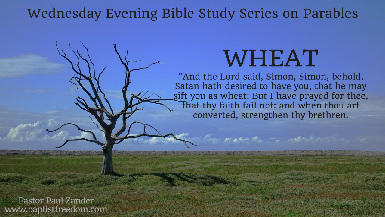 Parables: Wheat episode artwork