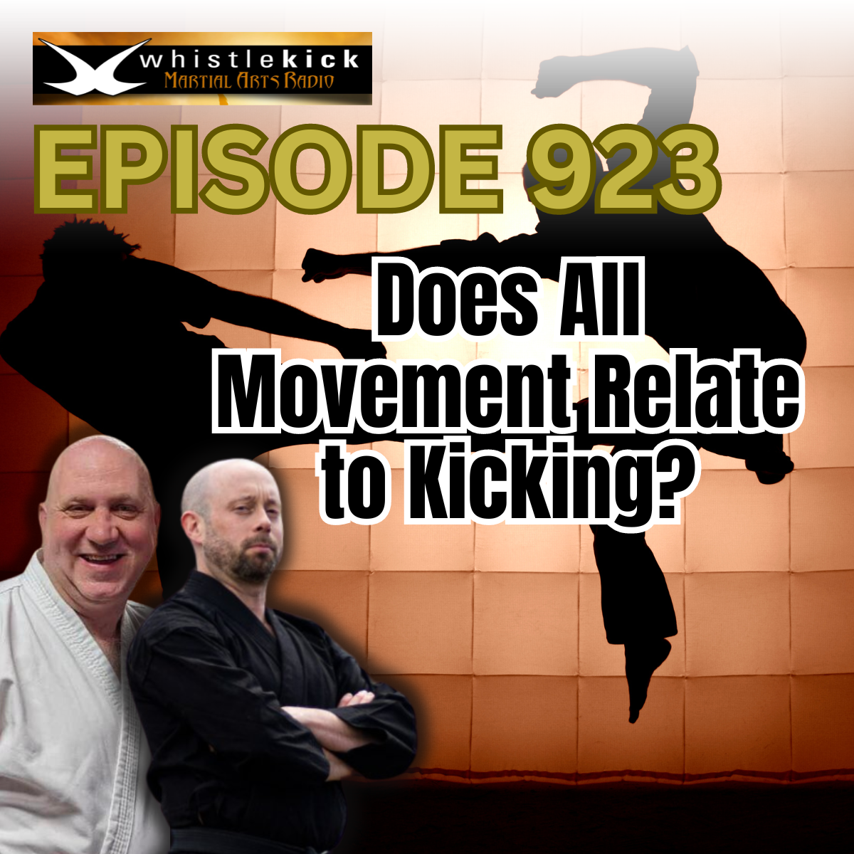 whistlekick Martial Arts Radio