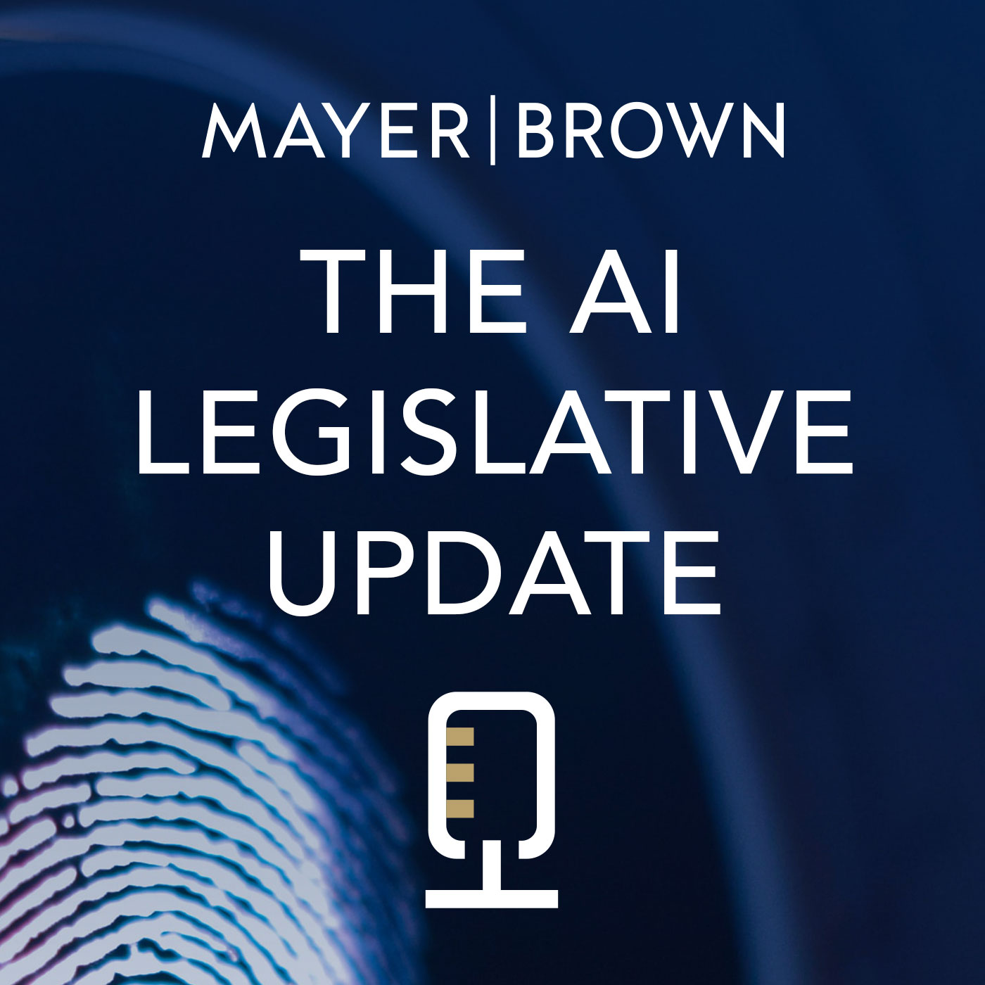 Implementation of the White House’s AI Executive Order and other Federal and State Legislative Updates