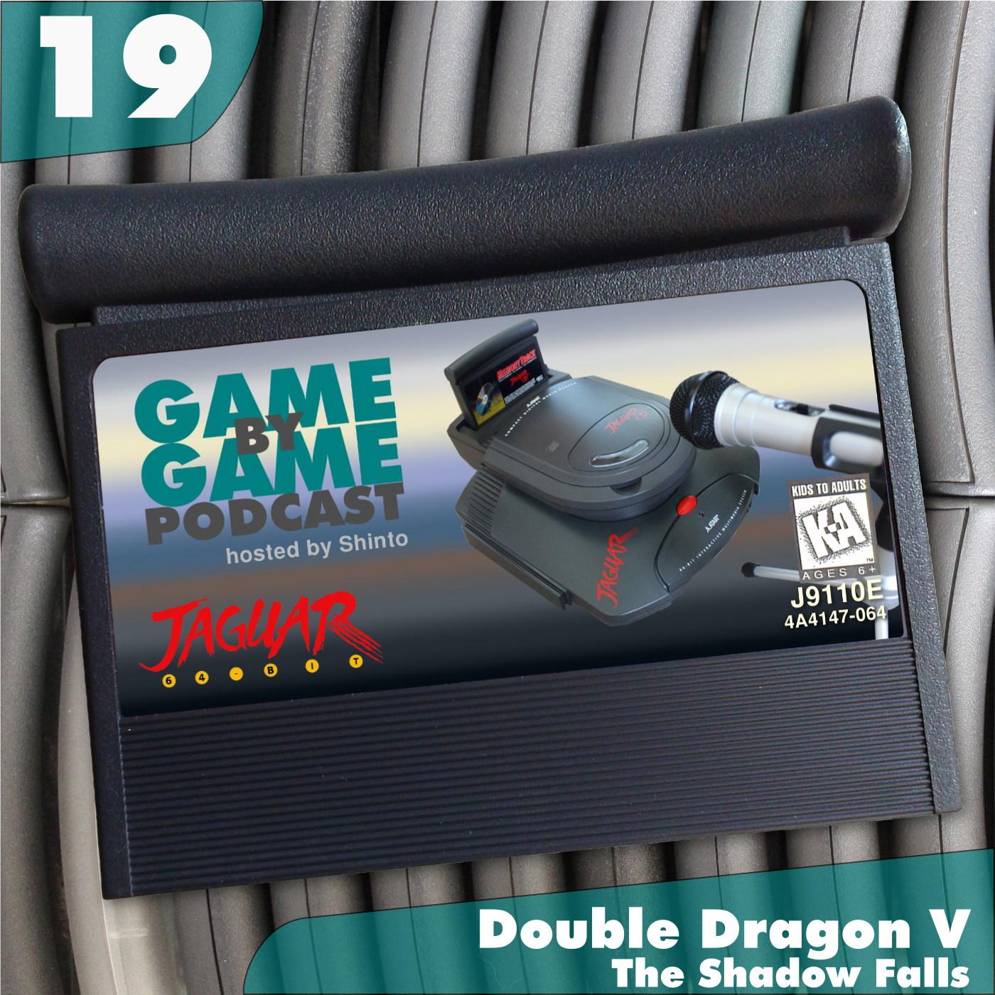 19 - Double Dragon V: The Shadow Falls