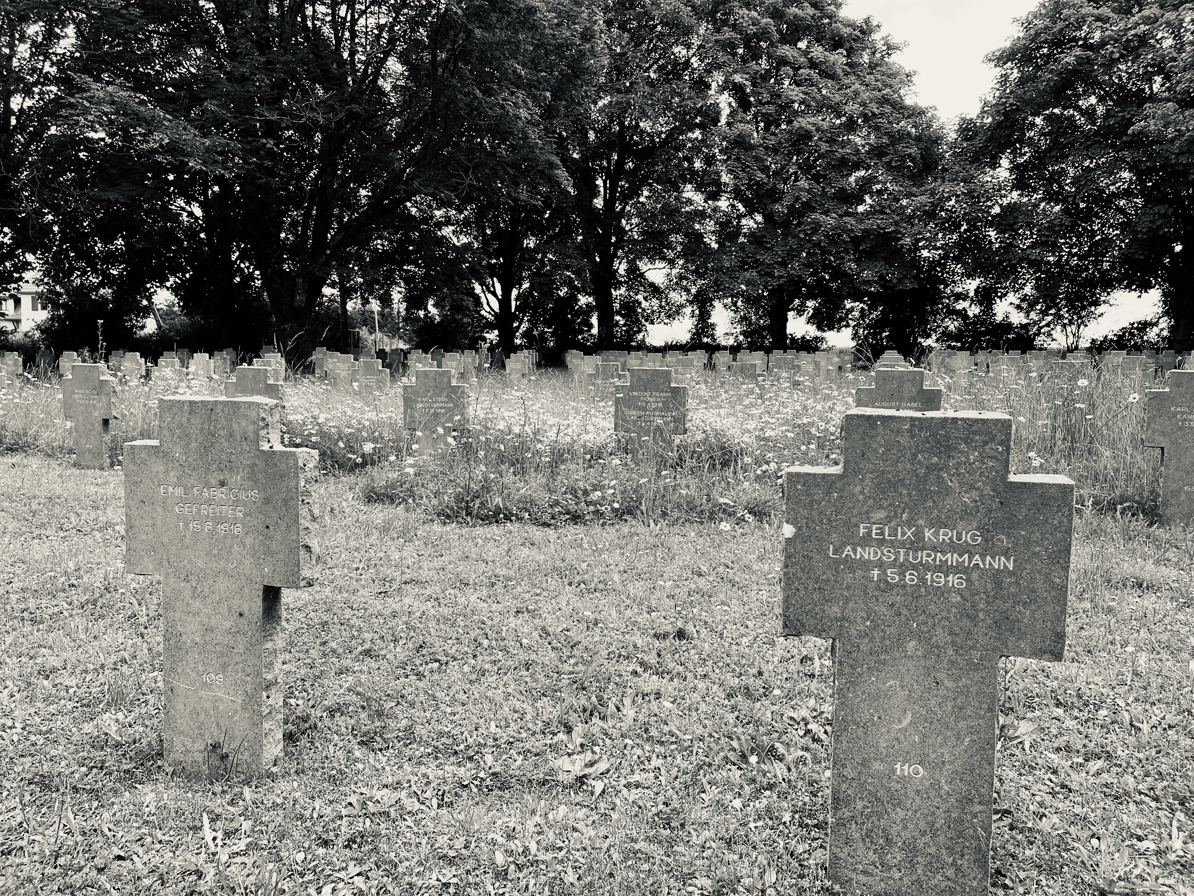 Liny-devant-Dun - Thoughts on a German Cemetery