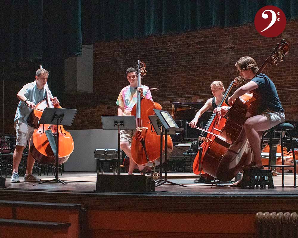 Contrabass Conversations