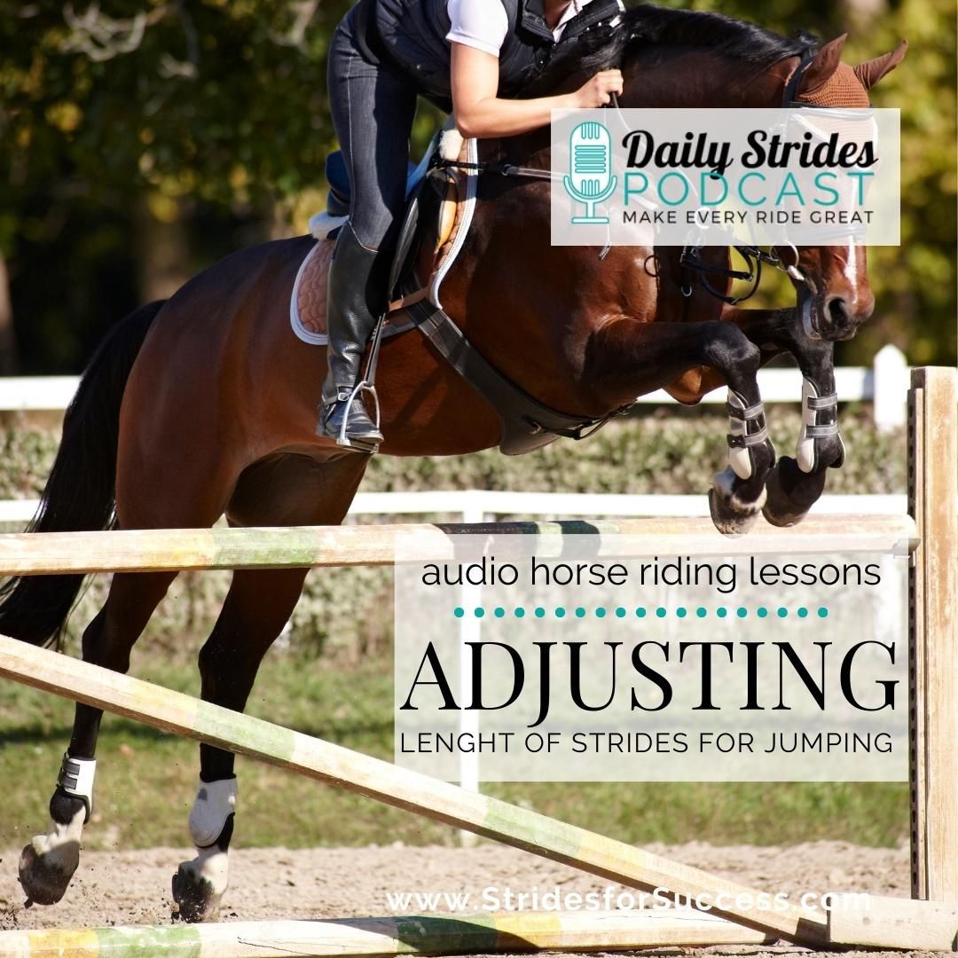 Adjusting the Length of Your Horse's Stride for Jumping