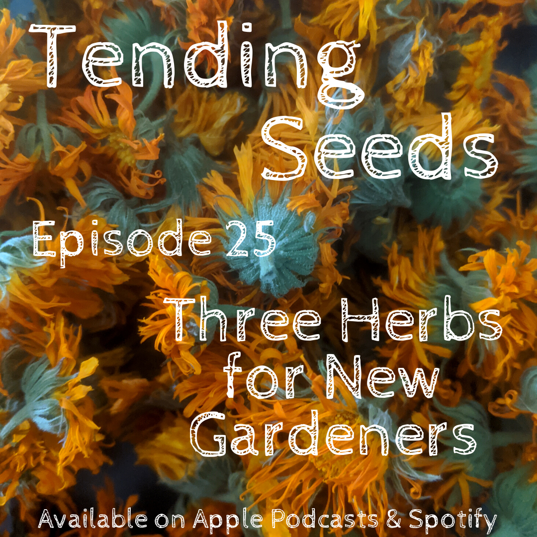 Tending Seeds: Adventures in Gardening, Homesteading, and Herbalism