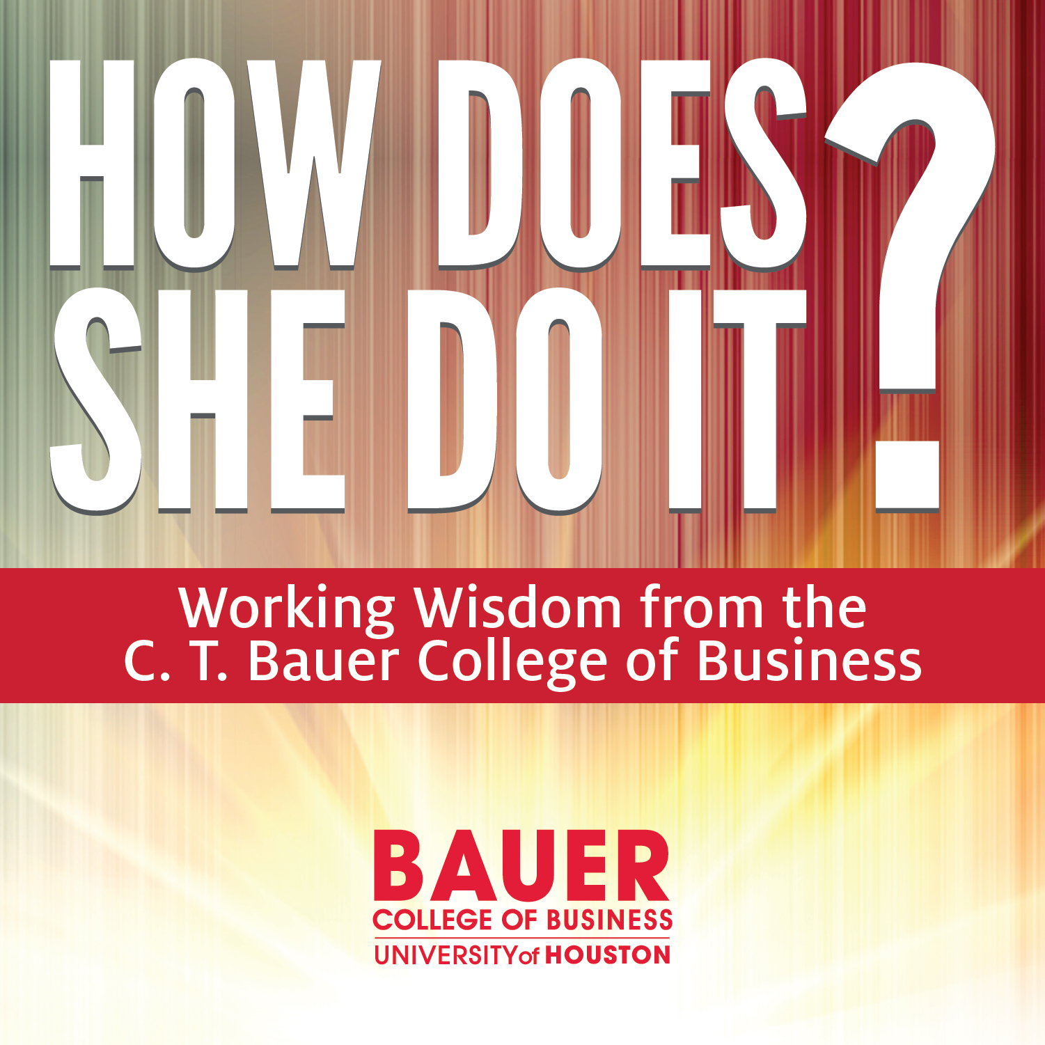 Working Wisdom from the C. T. Bauer College of Business