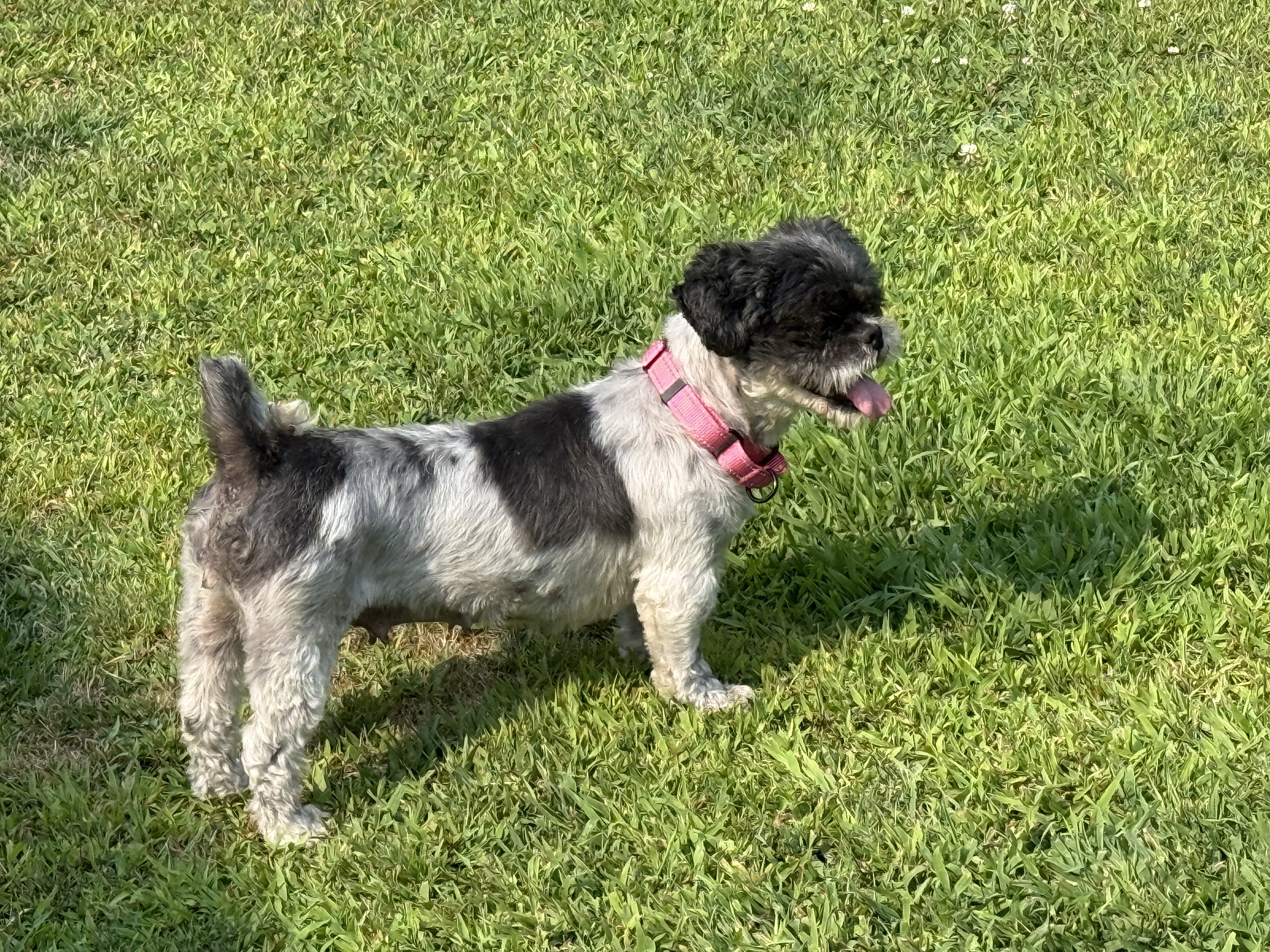 ZuZu Jones