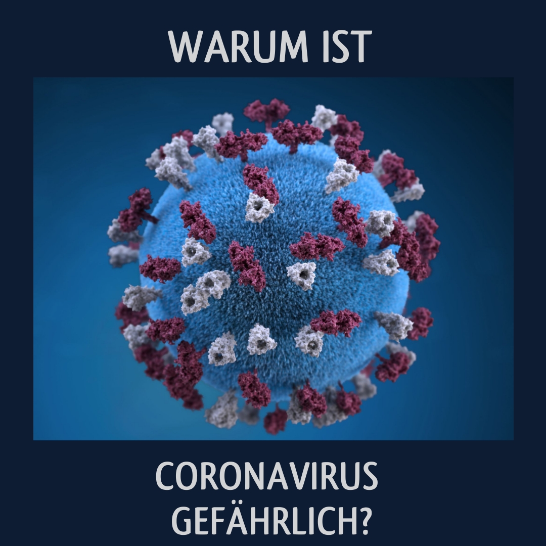 Wunderwelt Körper