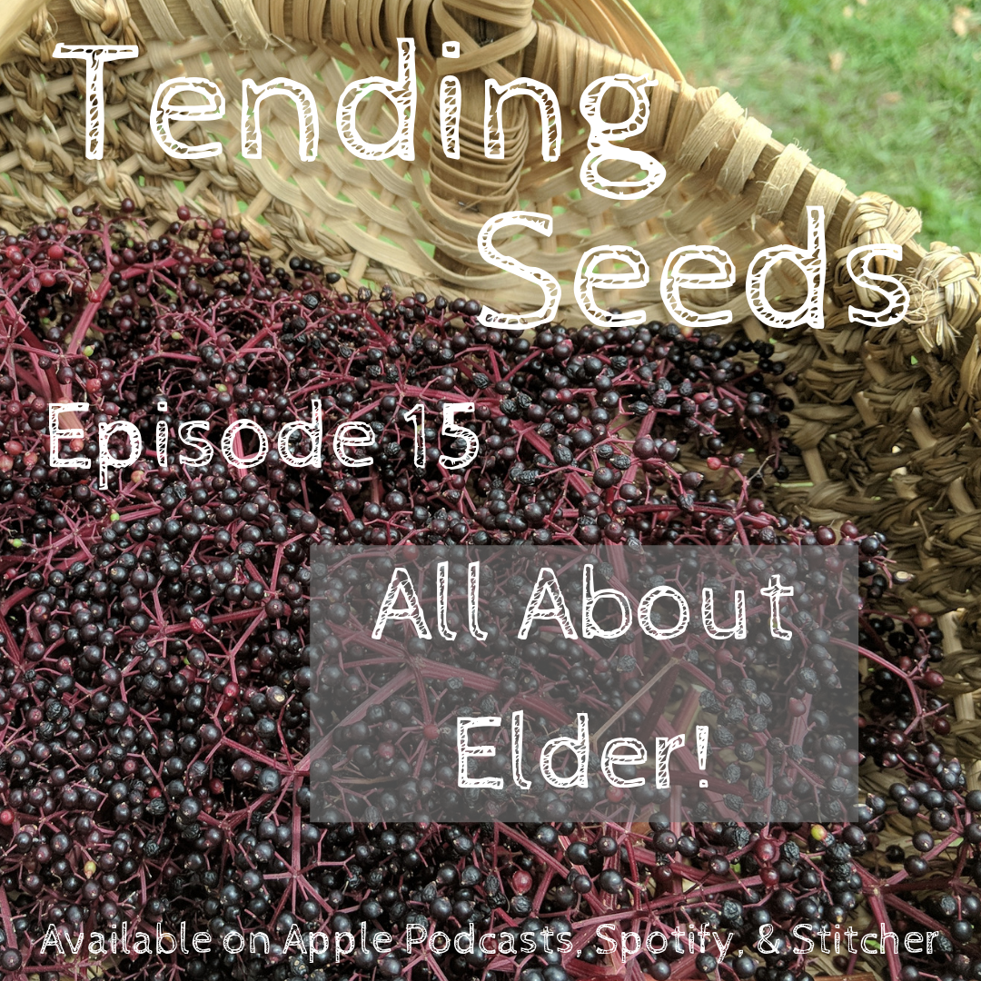 Tending Seeds: Adventures in Gardening, Homesteading, and Herbalism