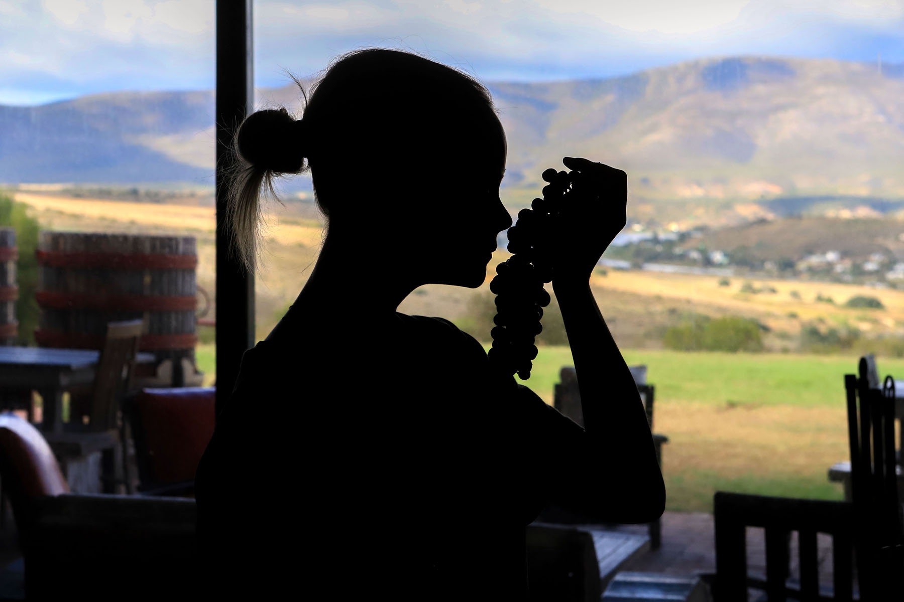 יין לשניים - פרק 22 - ראיון עם צלם היין דוד סלברמן וטעימת יינות אותם הוא מייבא מדרום אפריקה, פינה חדשה "השקה את המומחה" והמלצה על פיסת היסטוריה ל יין לשניים - פרק 22 - ראיון עם צלם היין דוד סלברמן וטעימת יינות אותם הוא מייבא מדרום אפריקה, פינה חדשה "השקה את המומחה" והמלצה על פיסת היסטוריה ל