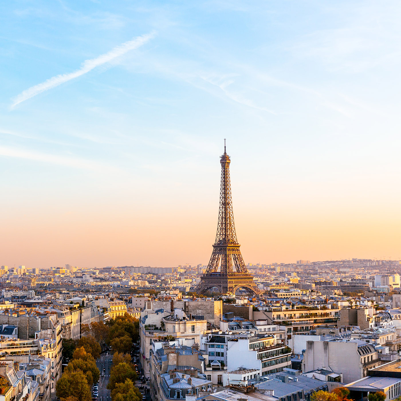 cover of episode On the ground in Paris: Connecting the dots between climate and biodiversity