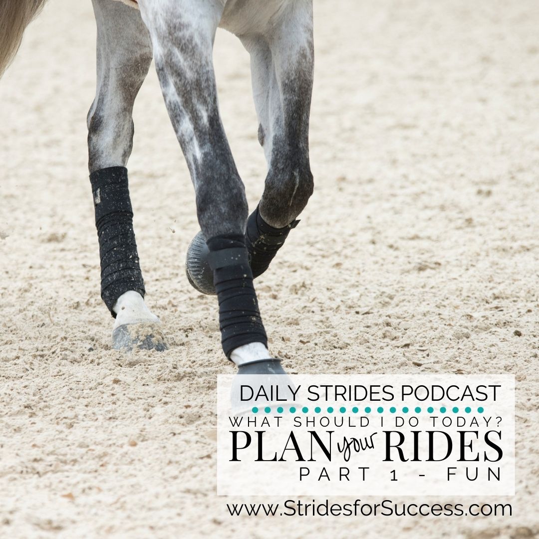 What Will I Do When In the Saddle Today? Planning Your Rides - Part 1: Fun