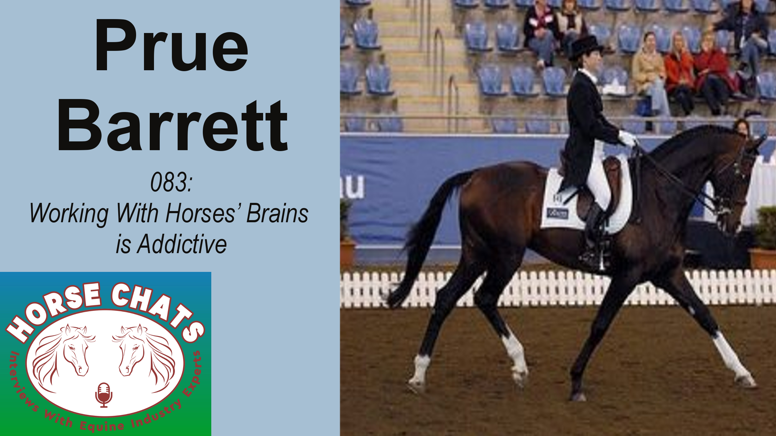 0083: Prue Barrett - Working With Horses' Brains is Addictive