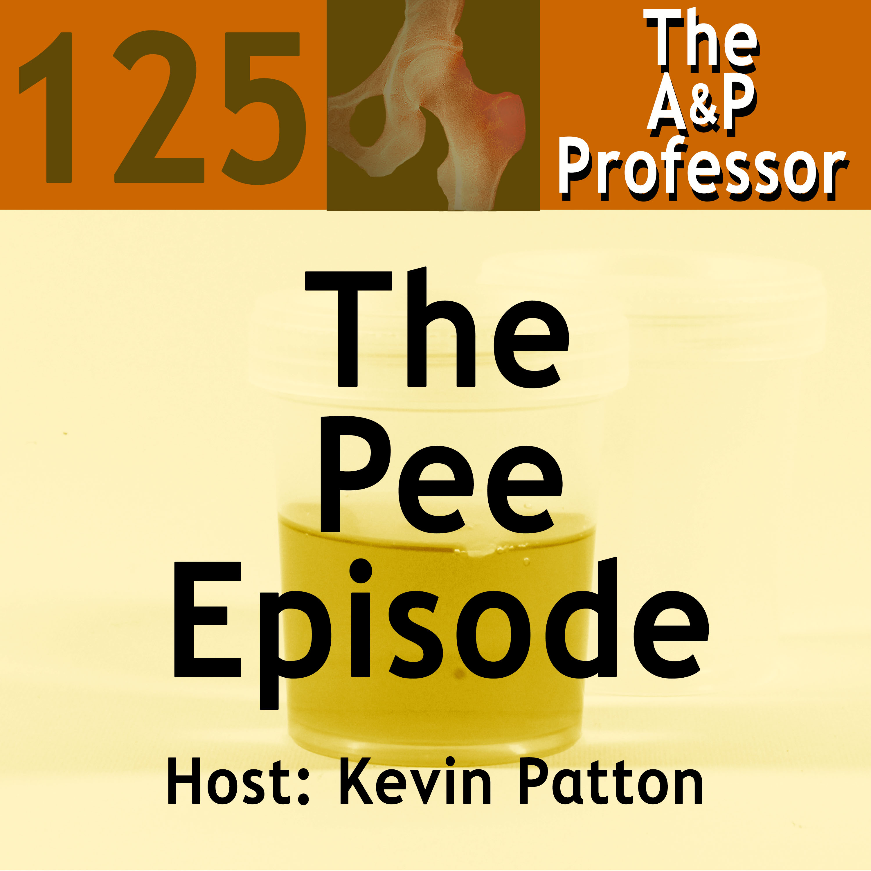 The Pee Episode | Teaching Urinary & Renal Concepts | TAPP 125