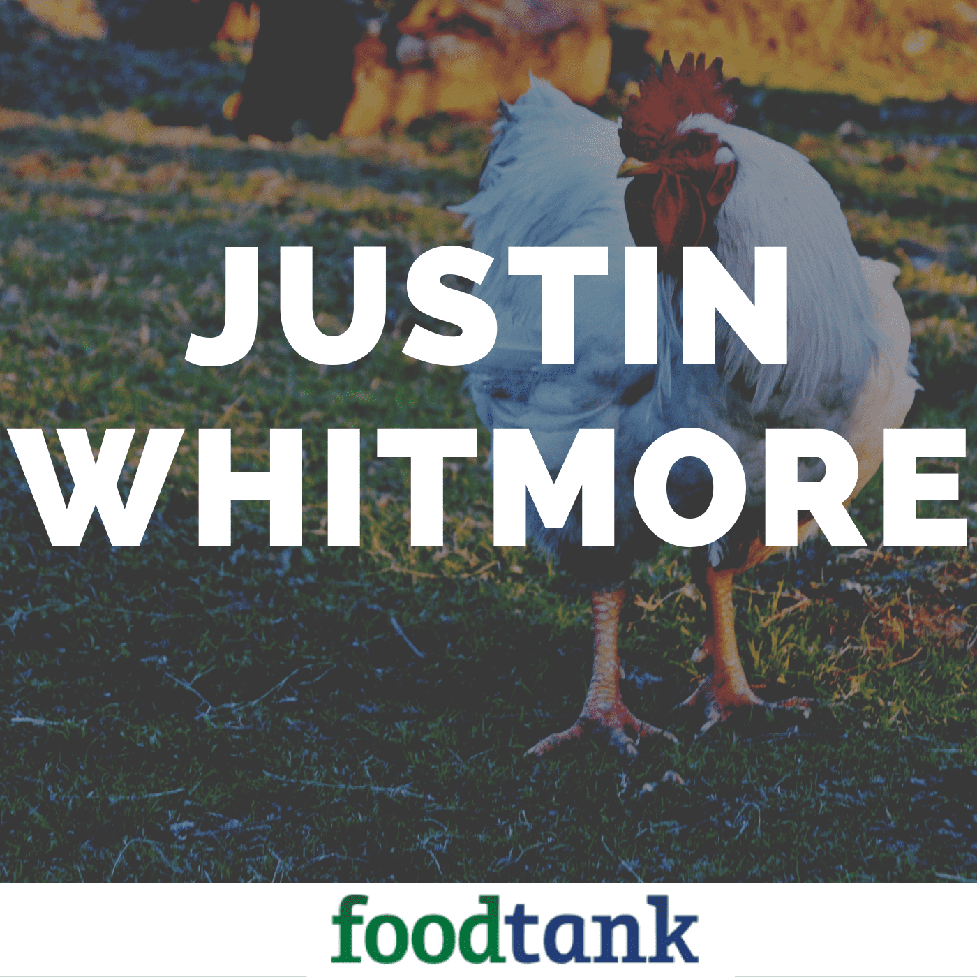 18. Justin Whitmore: Reshape the Global Food System with Big Food Companies