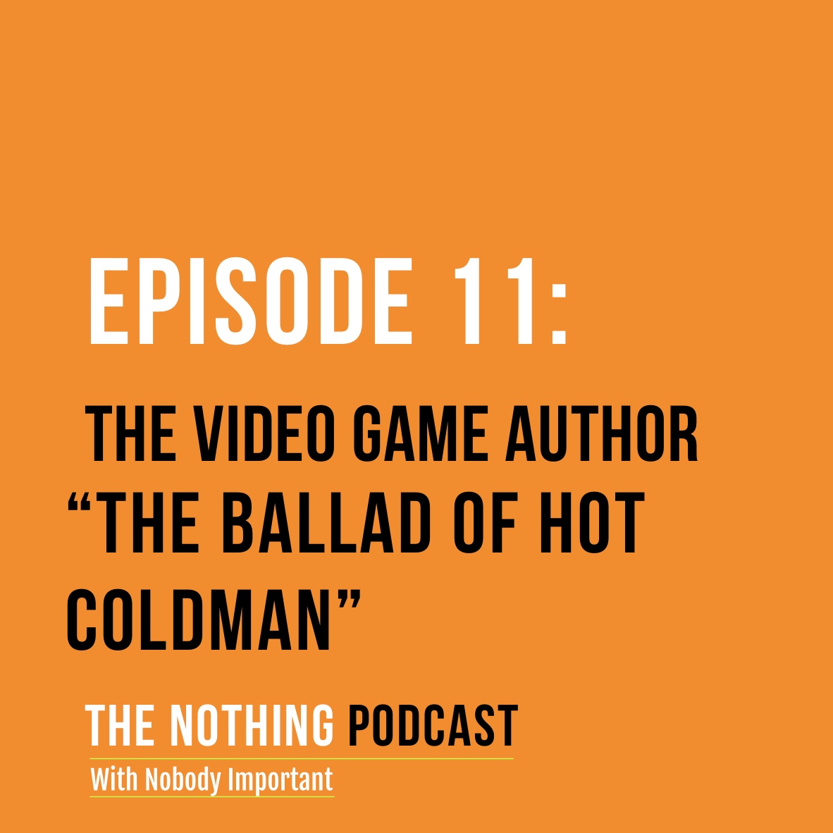 The Video Game Author - 