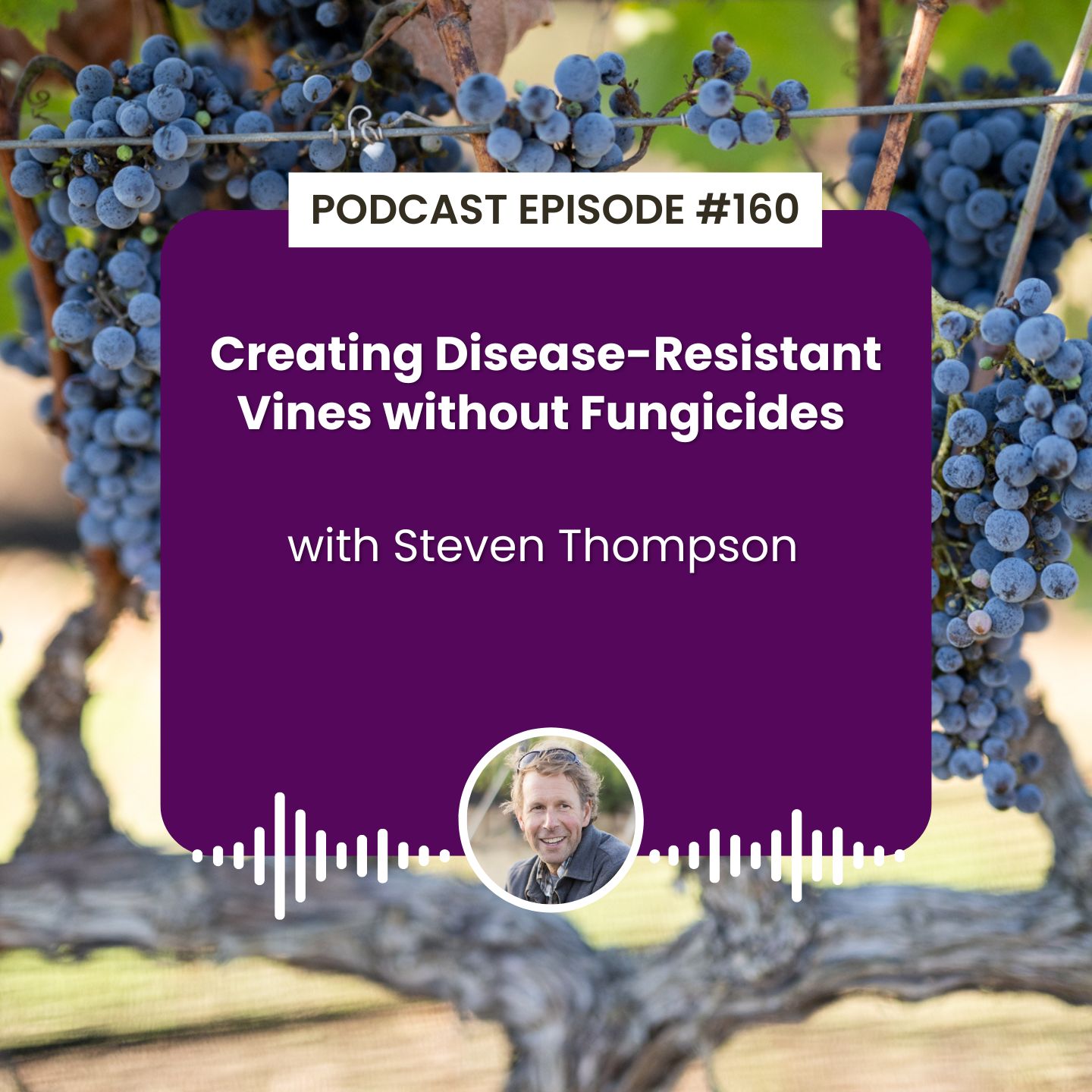 Regenerative Agriculture Podcast
