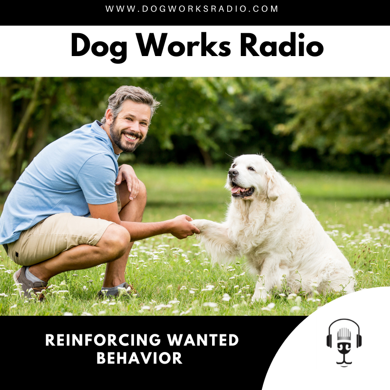 Reinforcing Wanted Behavior in Dogs | The Bark Side